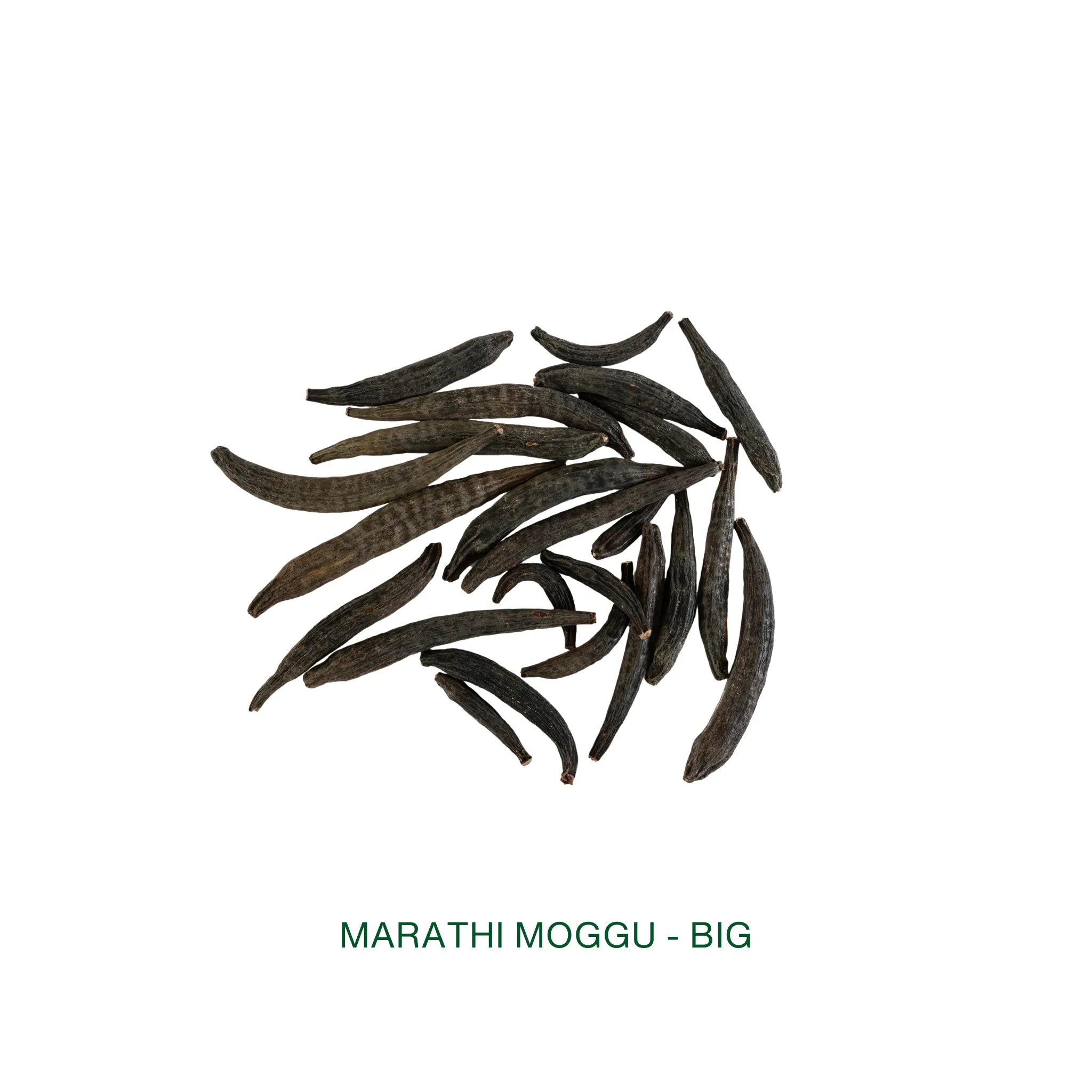 Marathi Moggu - Big