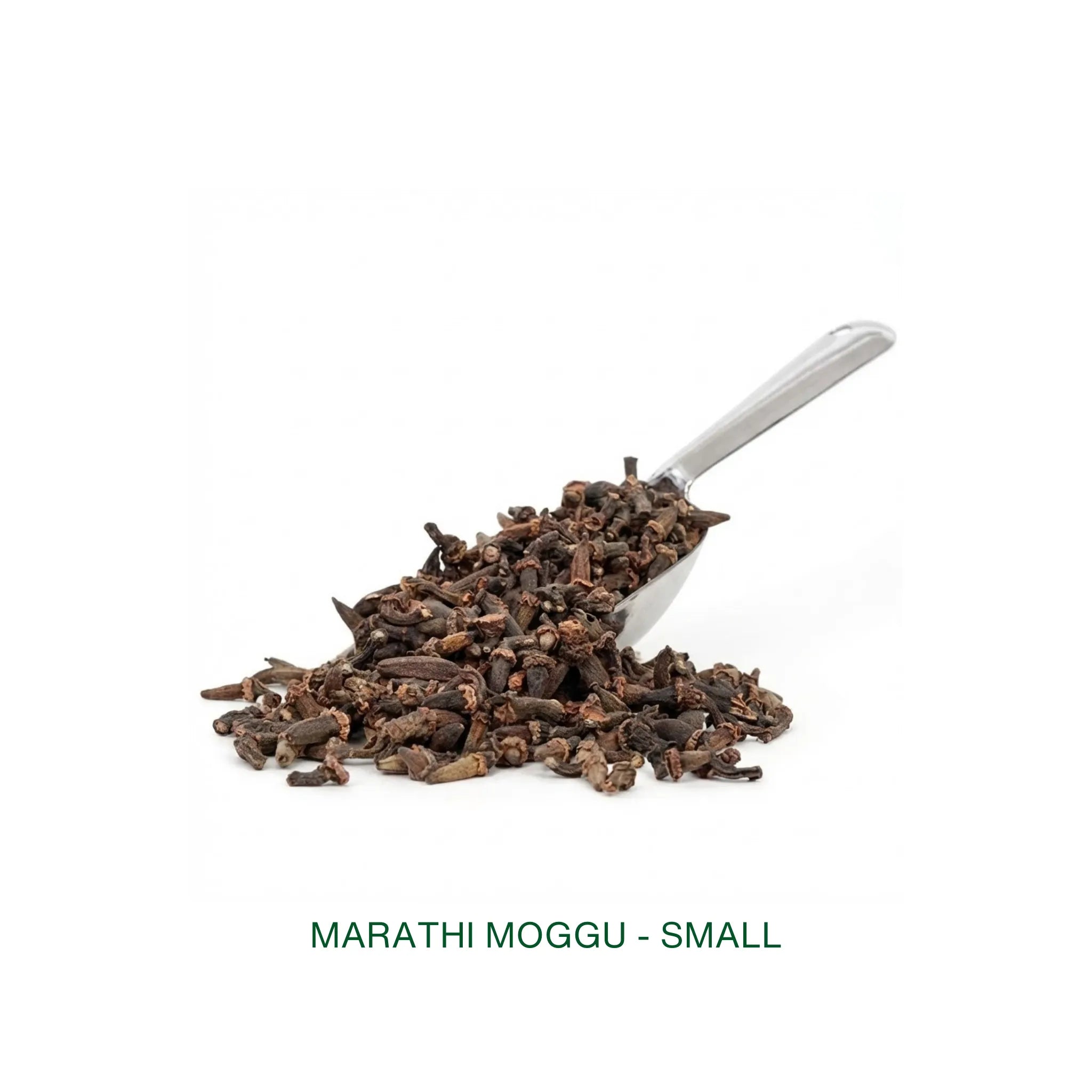 Marathi Moggu - Small