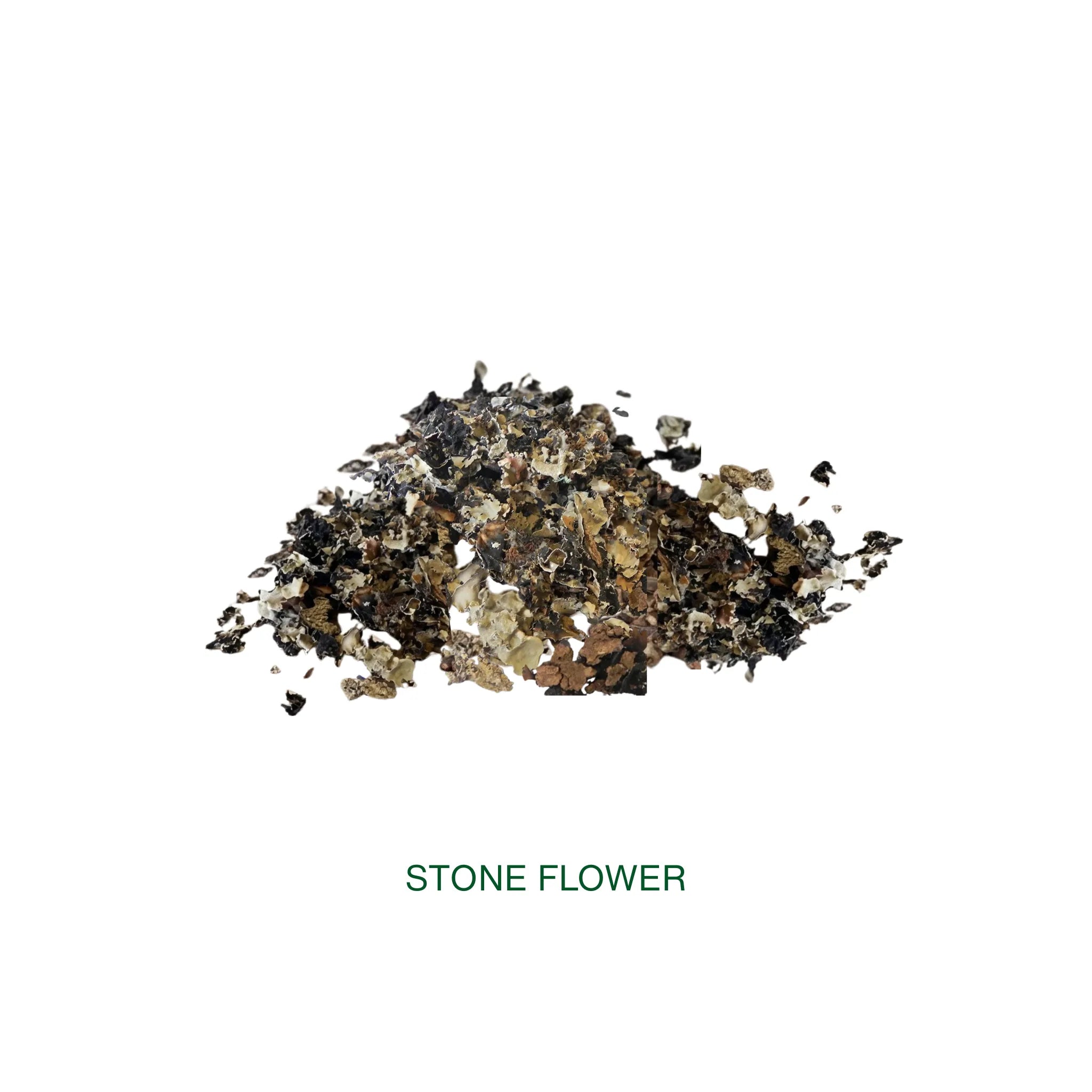Stone Flower / Kallu Hoo